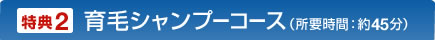 育毛シャンプーコース