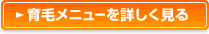 育毛メニューを詳しく見る