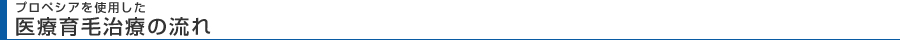 プロペシアを利用した医療育毛治療の流れ