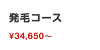 発毛コース
