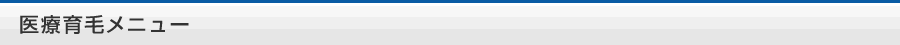医療育毛メニュー