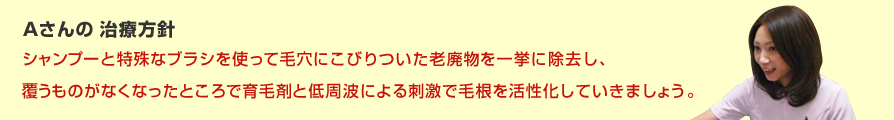 Aさんの 治療方針 シャンプーと特殊なブラシを使って毛穴にこびりついた老廃物を一挙に除去し、覆うものがなくなったところで育毛剤と低周波による刺激で毛根を活性化していきましょう。