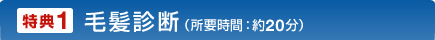 毛髪診断