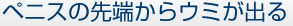 ペニスの先端からウミが出る