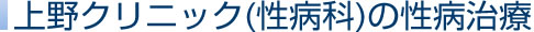 上野クリニック(性病科)の性病治療