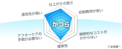 かつら