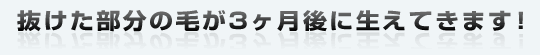 抜けた部分の毛が７ヶ月後に生えてきます