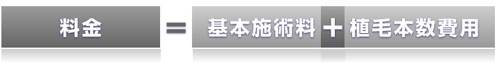 料金=基本料金+植毛本数費用