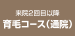 来院2回目以降 育毛コース（通院）