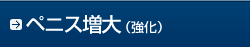 ペニス増大（強化）