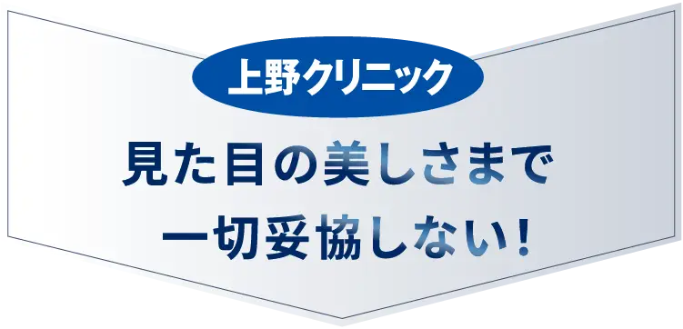 上野クリニックは見た目美しさまで妥協しない