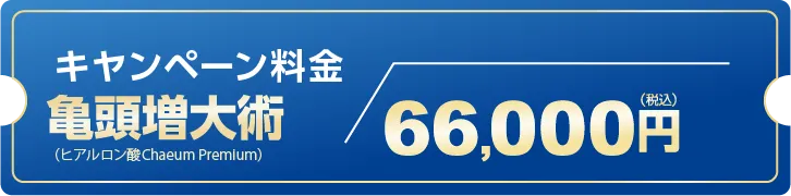 亀頭増大術キャンペーン料金