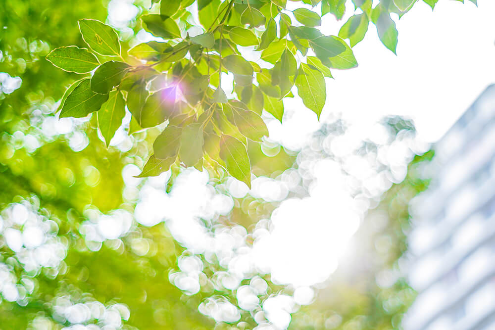 包茎手術後に注意すべきことは？日常生活に戻れるまでの期間の目安