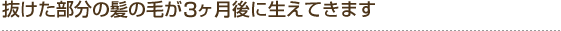 抜けた部分の髪の毛が7ヶ月後に生えてきます