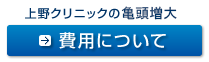 費用について
