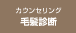 カウンセリング治療 毛髪診断