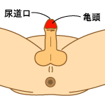 カンジダ(カンジタ)