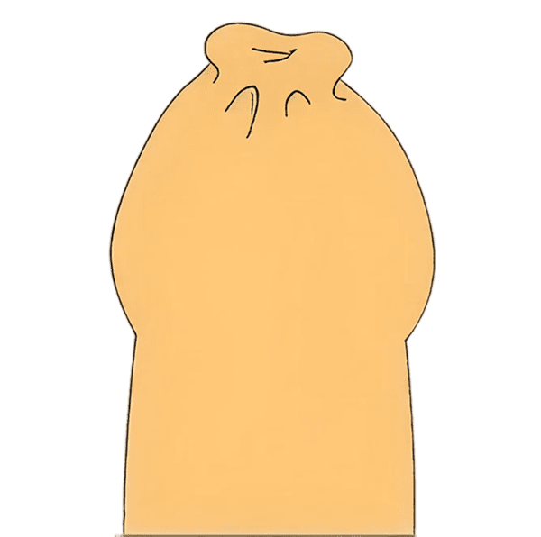 真性包茎