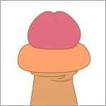 カントン包茎 写真(かんとんほうけい 写真)