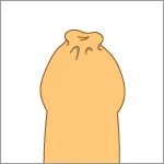 真性包茎のイメージ