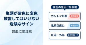 亀頭が紫色・青紫色になる原因は？カントン包茎の鬱血リスクと正しい対処法
