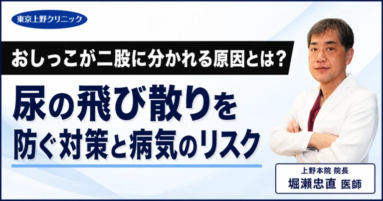 おしっこが二股に分かれる原因とは？尿の飛び散りを防ぐ対策と病気のリスク