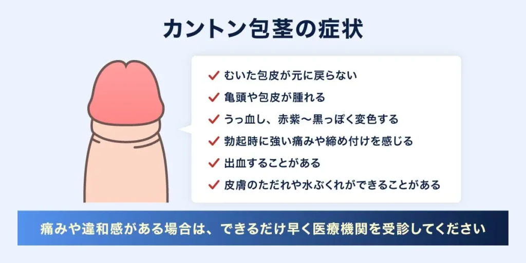 カントン包茎の症状の説明